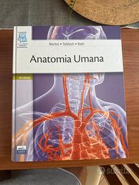 Anatomia umana