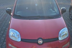 FIAT Panda 2ª serie - 2019