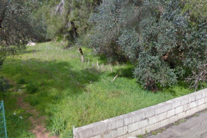 Terreno periferia parabita