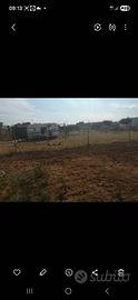 Orto vicino a Grosseto