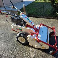 trinciasarmenti orec 