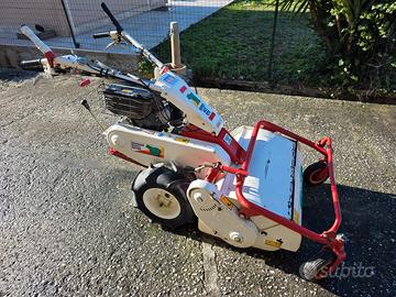 trinciasarmenti orec 