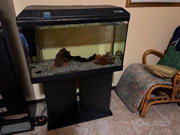 Acquario