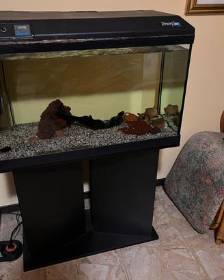 Acquario