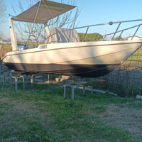 Barca fiart selva 80 cv