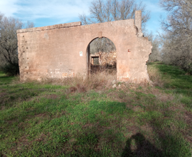 Terreno agricolo 6 ettari