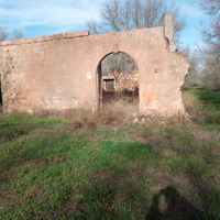 Terreno agricolo 6 ettari