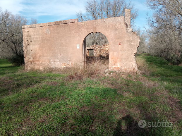 Terreno agricolo 6 ettari