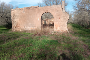 Terreno agricolo 6 ettari