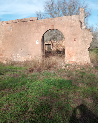 Terreno agricolo 6 ettari