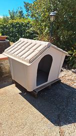 casette per cani