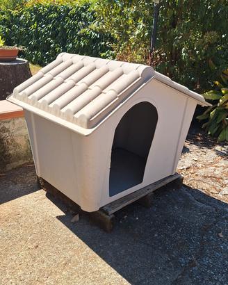 casette per cani