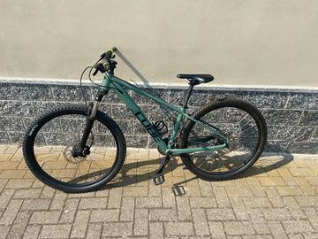 Bici mtb