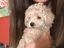 Immagine 4