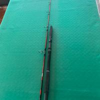 Canna da pesca Daiwa Seagate 50-:-150