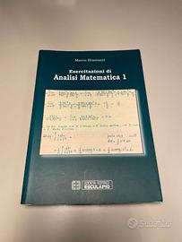 Esercitazioni di Analisi Matematica 1
