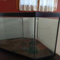 acquario angolare 220 litri