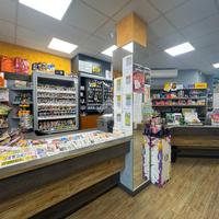 ATTIVITÀ A DESENZANO DEL GARDA