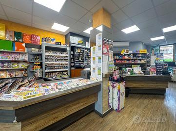 ATTIVITÀ A DESENZANO DEL GARDA