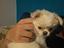 Immagine 1