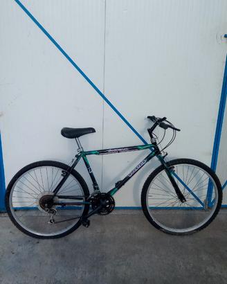 Mountain bike