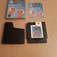 venice beach volleyball nintendo nes