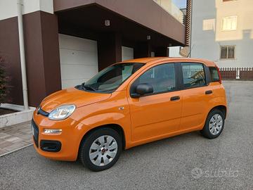 Fiat Panda 1.2 Pop pronta consegna a € 149 mese
