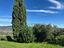 Immagine 13