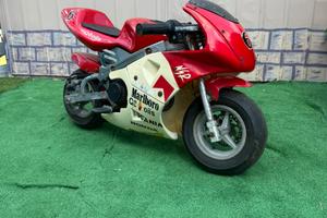 Minimoto mini moto