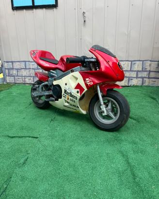 Minimoto mini moto