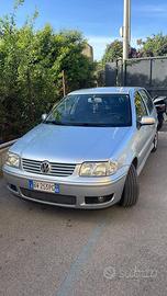 Polo 14 td