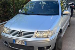Polo 14 td
