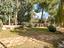 Immagine 29