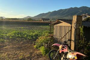 TM Racing MX 125 - 1996