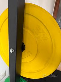 Dischi bumper 5 kg e 15 kg