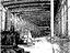 Immagine 8
