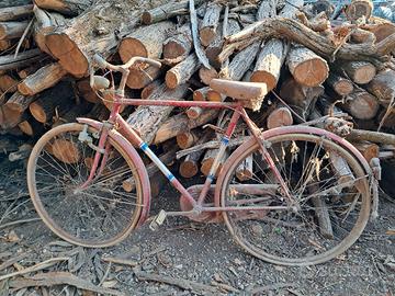 Bicicletta uomo Atala