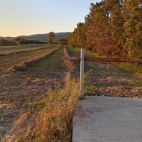 Fieno seminato balloni e ballette