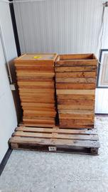 Apiscampo, Coprifavo ed Escludi regina