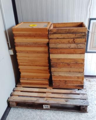 Apiscampo, Coprifavo ed Escludi regina