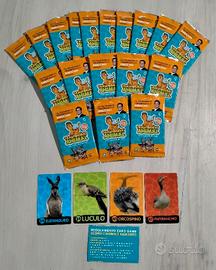 Lotto card-TRASFORMAT ANIMAL Zoo card collection 