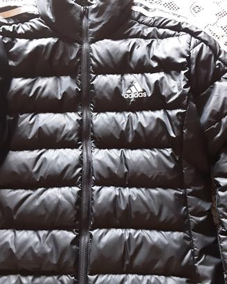 giubbino  donna adidas