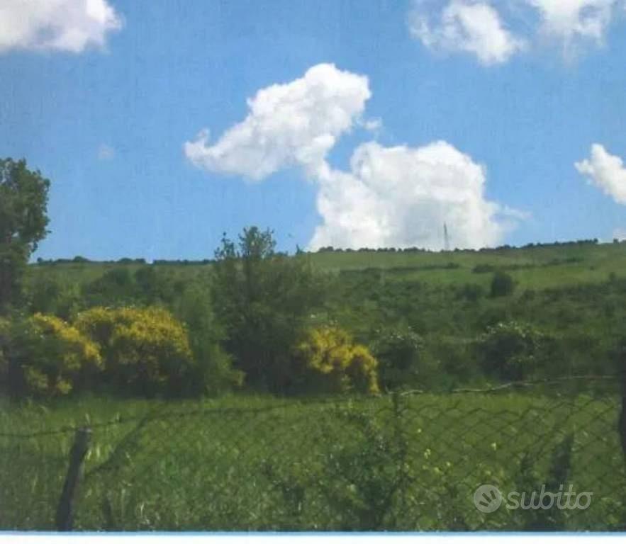 Immobile in asta di 156406 m² a Abriola - Altro
