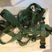 Pettorina e guinzaglio Haqihana