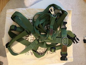 Pettorina e guinzaglio Haqihana