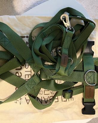 Pettorina e guinzaglio Haqihana