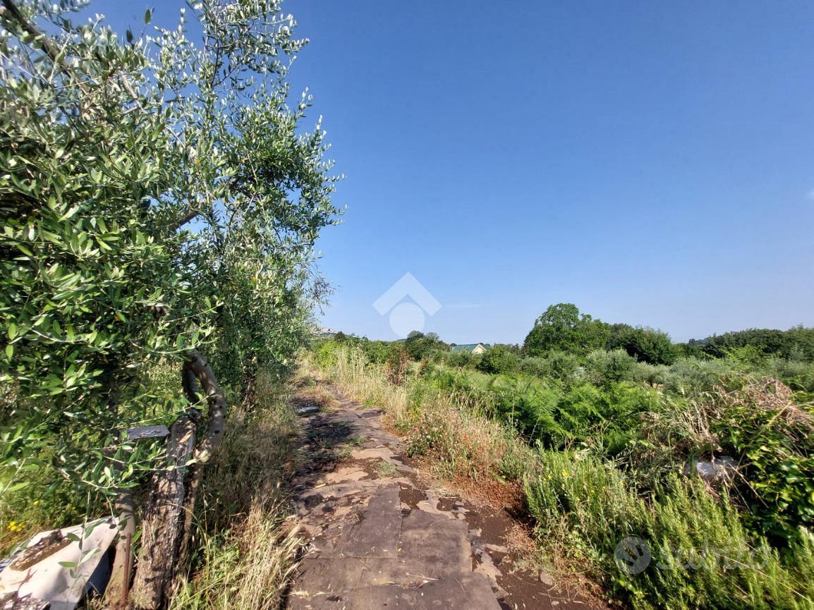 TER. AGRICOLO A SAN CESAREO - Vista 4
