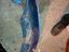 Immagine 5