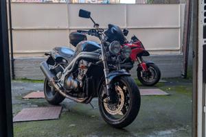 Triumph Speed triple t509