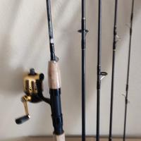 Canna Spin/Fly Carbonio 8' + Daiwa Underspin